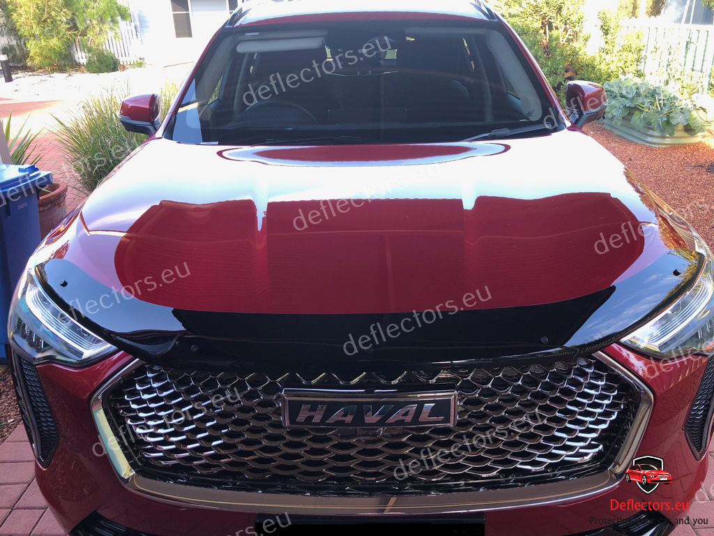 Motorhaubenschutz / Steinschlagschutz Motorhaube für Haval Jolion 2020- 14 Motorhaubenschutz / Steinschlagschutz Motorhaube für Haval Jolion 2020- – Bild 14