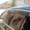 Ветробрани за залепяне за Audi A8 Sedan (D3) 2002-2010/ Audi S8 Sedan (D3) 2005-2011 с 5 врати – 4 бр. предни и задни